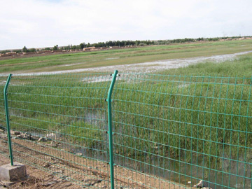 農(nóng)場(chǎng)護(hù)欄網(wǎng) 農(nóng)場(chǎng)護(hù)欄網(wǎng)