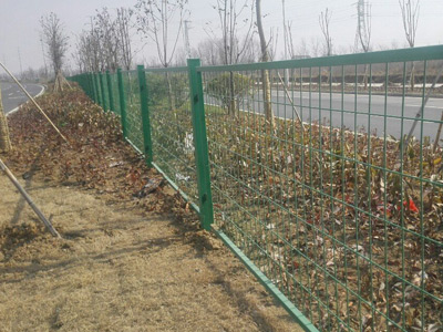 安徽蚌埠黃山大道綠化隔離項(xiàng)目 安徽蚌埠黃山大道綠化隔離項(xiàng)目